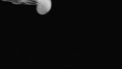 Archillect ID 17068