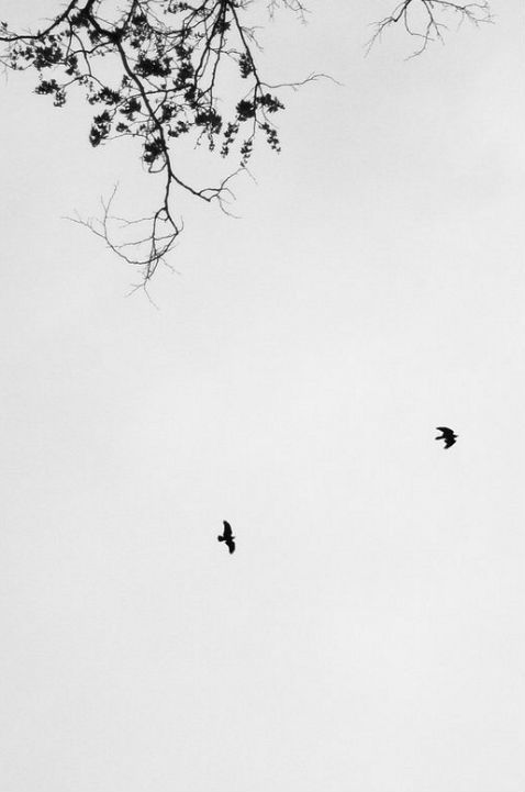 Archillect ID 17075