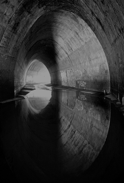 Archillect ID 17099