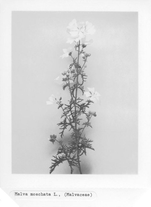 Archillect ID 17168