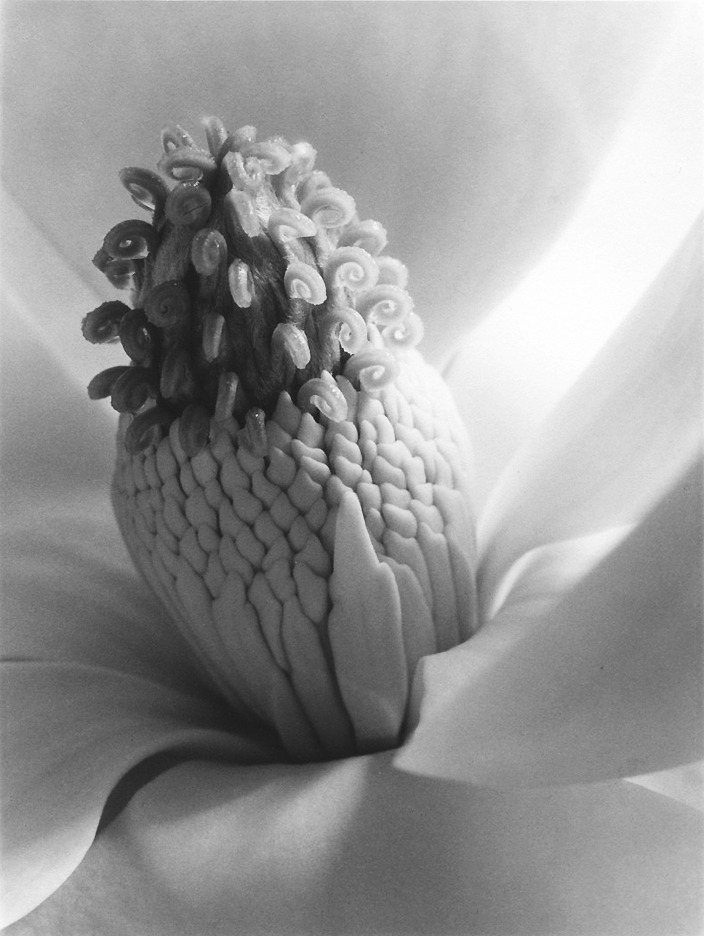 Archillect ID 17312