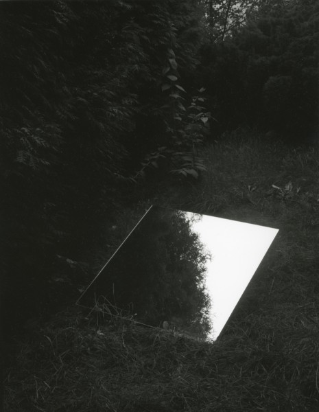 Archillect ID 17320