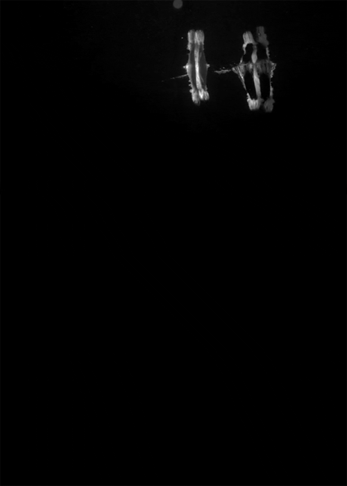 Archillect ID 17406
