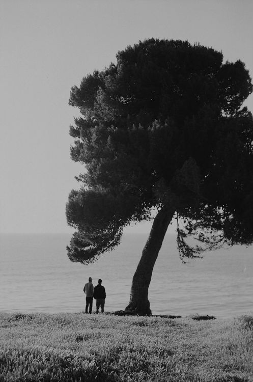 Archillect ID 17463