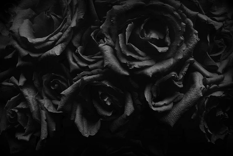 Archillect ID 17509
