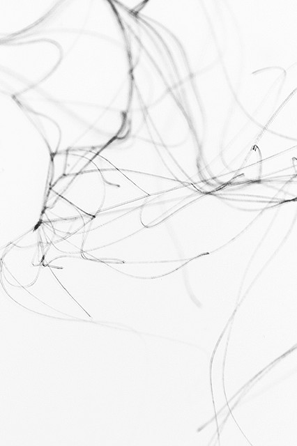 Archillect ID 17543