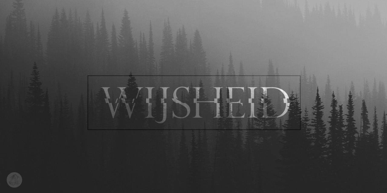 Archillect ID 17552