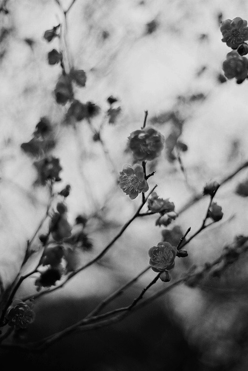 Archillect ID 17610