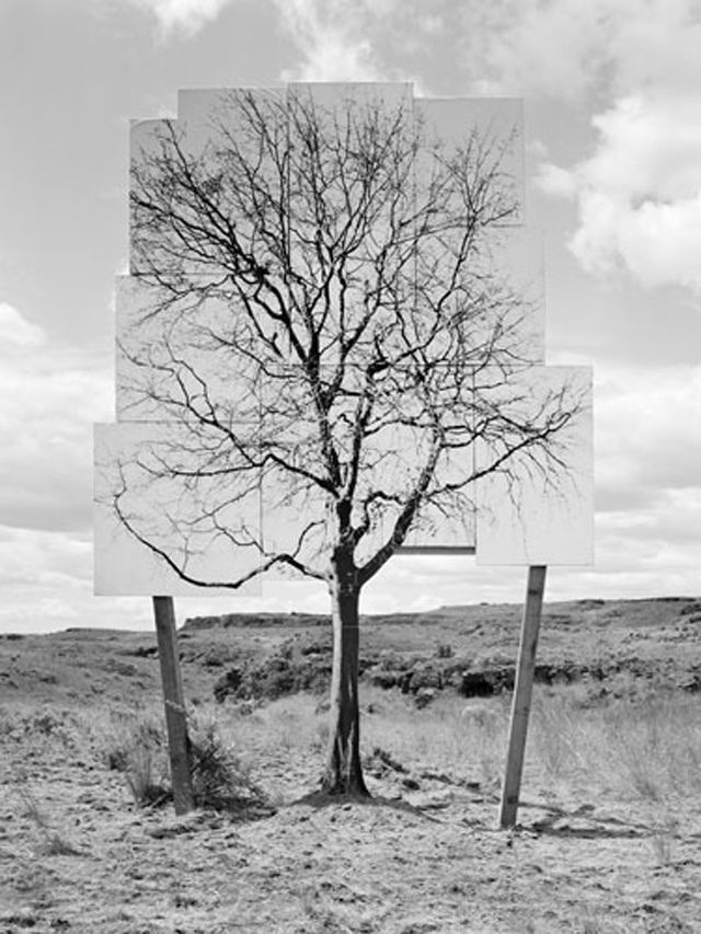 Archillect ID 17621