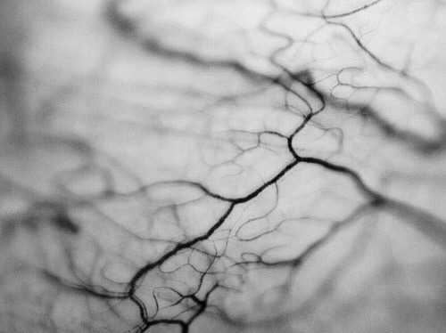 Archillect ID 17645