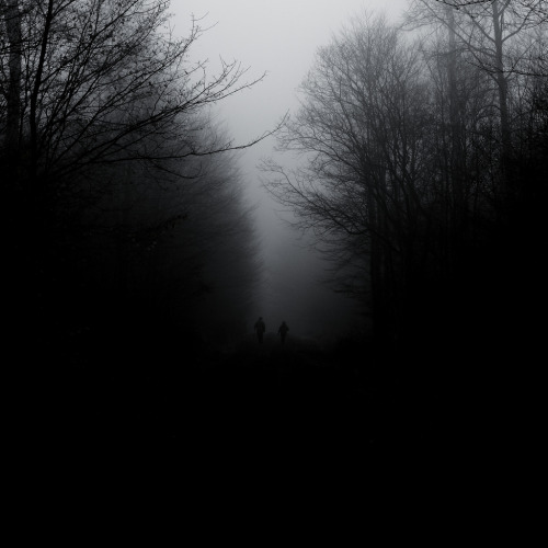 Archillect ID 17659