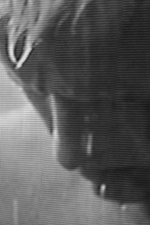 Archillect ID 17685