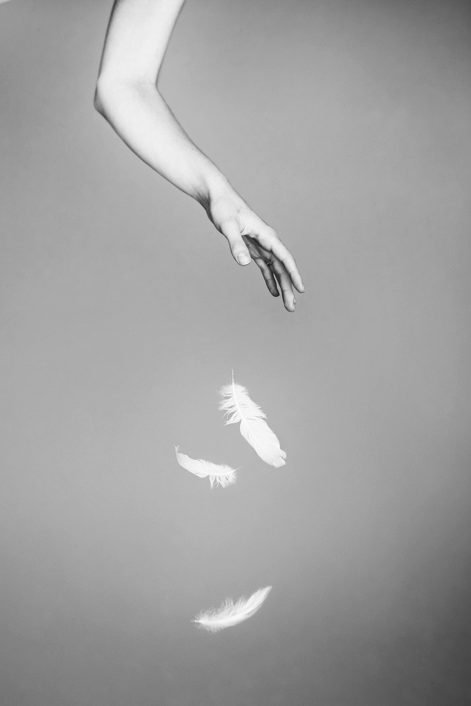 Archillect ID 17697