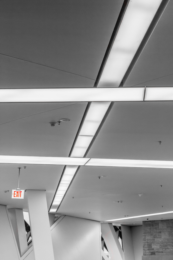 Archillect ID 17724
