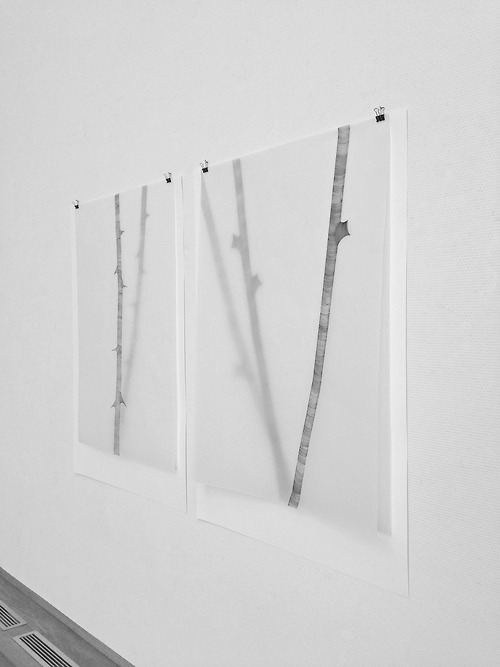 Archillect ID 17751