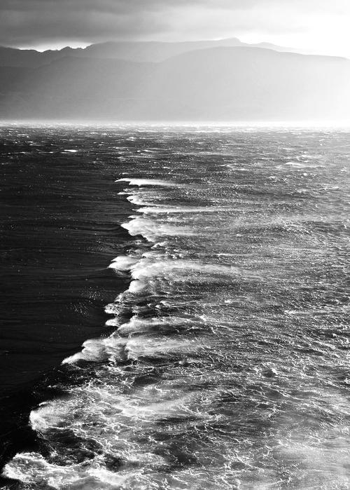 Archillect ID 17781
