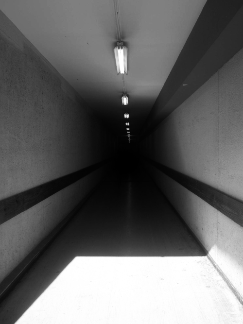 Archillect ID 17810