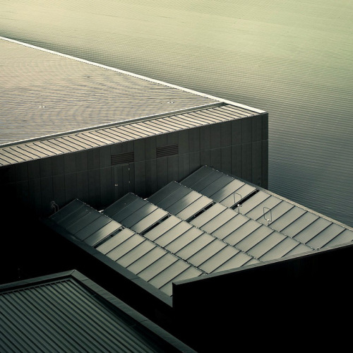 Archillect ID 17876