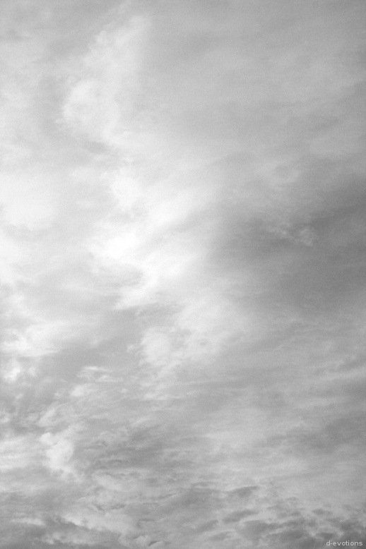 Archillect ID 17895