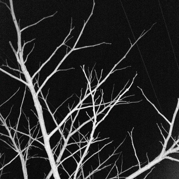 Archillect ID 18043