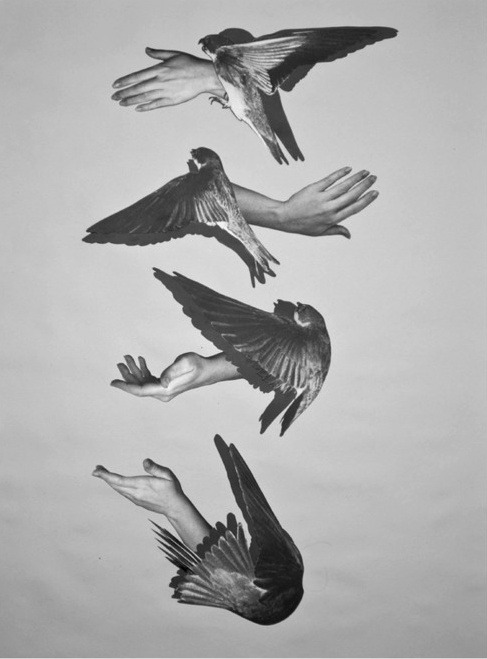 Archillect ID 18084