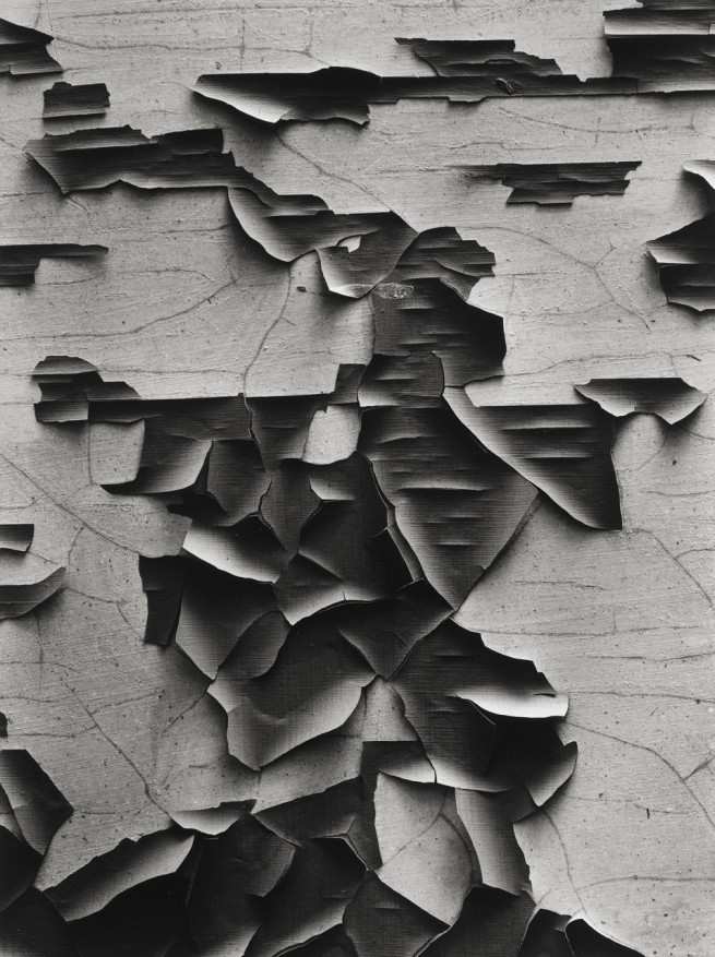 Archillect ID 18124