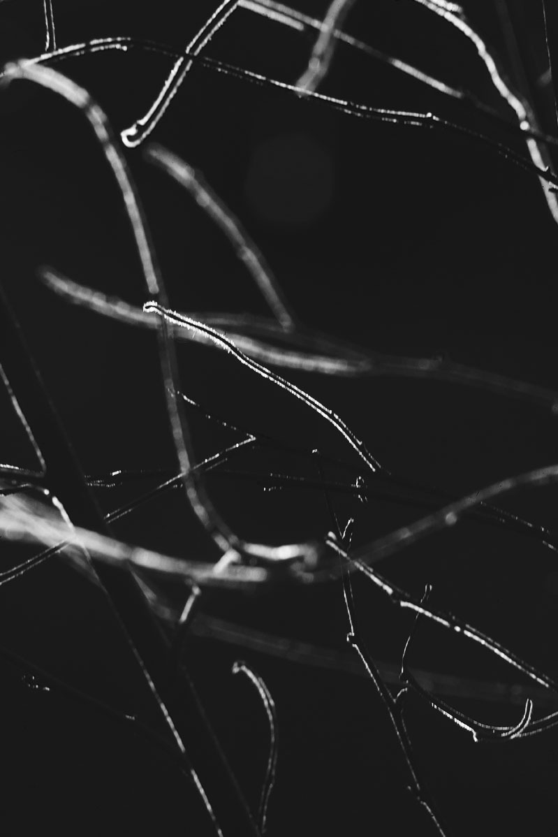 Archillect ID 18135