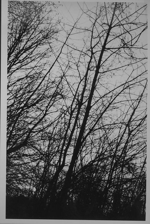 Archillect ID 18404