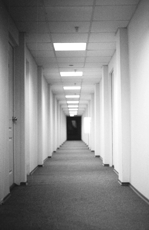 Archillect ID 18405