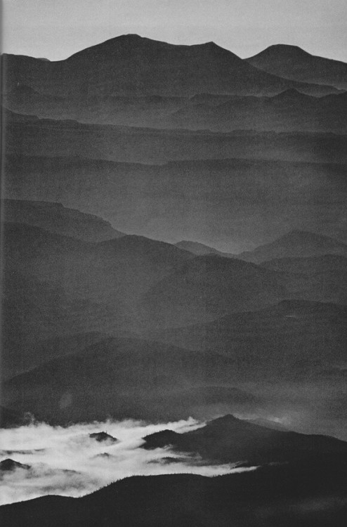 Archillect ID 18436