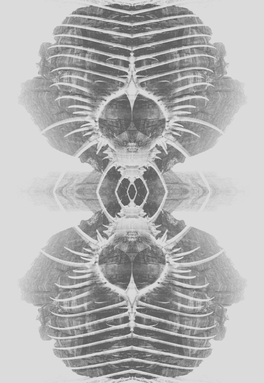 Archillect ID 18483