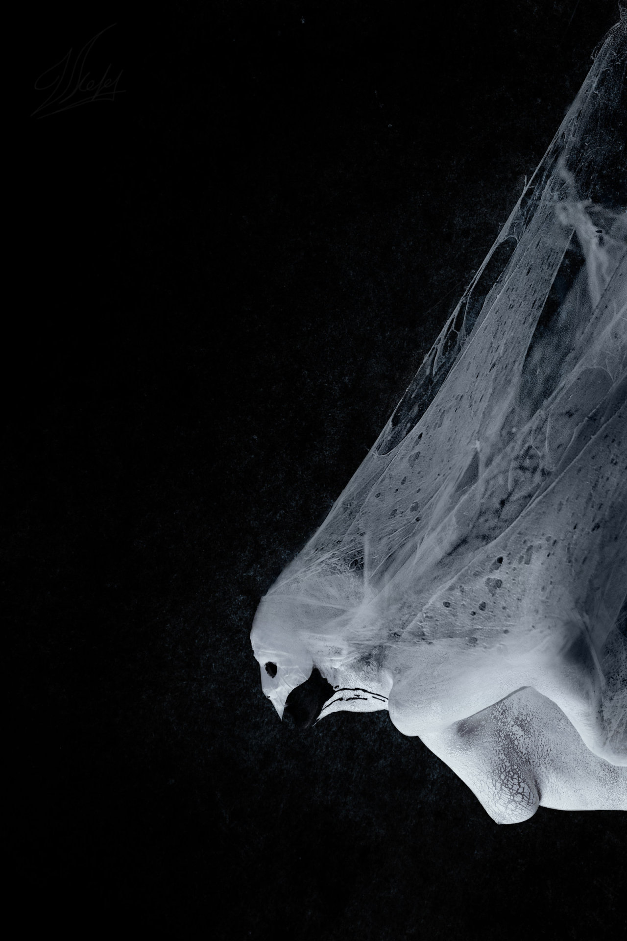 Archillect ID 18496