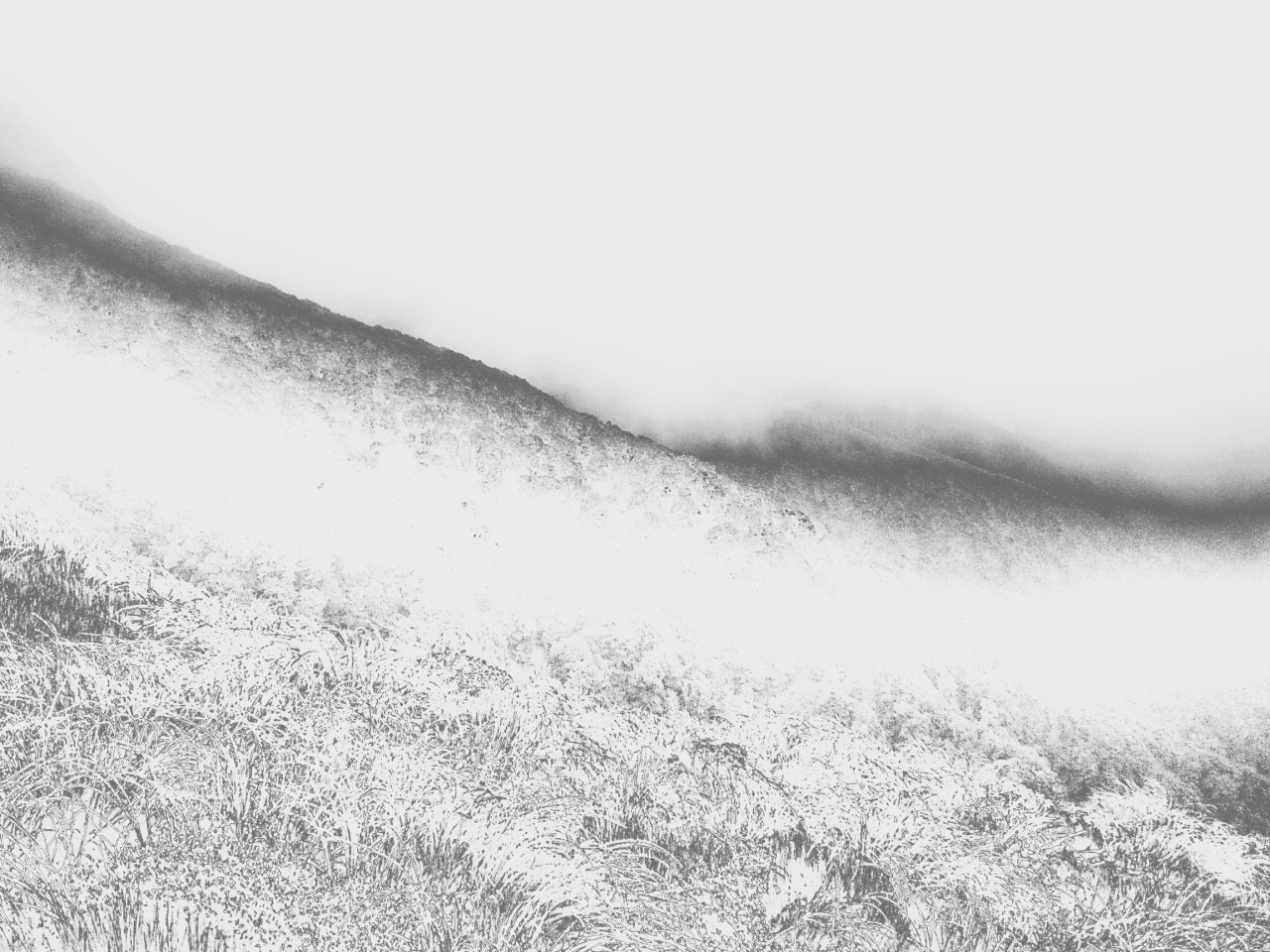 Archillect ID 18534