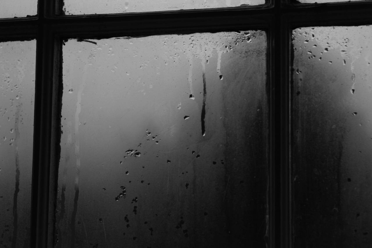 Archillect ID 18629