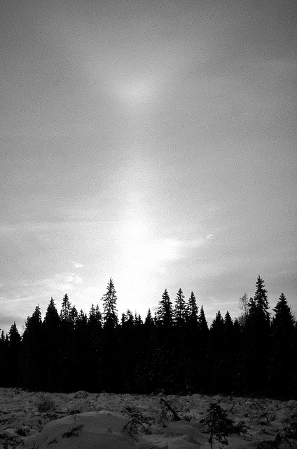 Archillect ID 18662