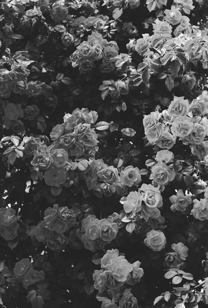 Archillect ID 18663