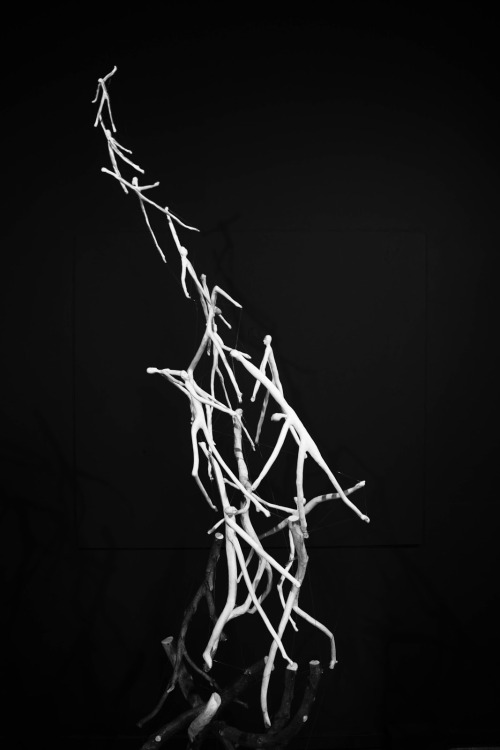 Archillect ID 18664