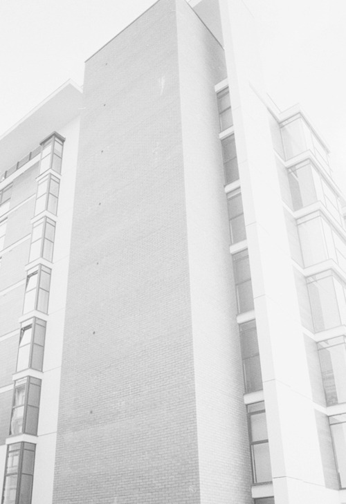 Archillect ID 18675