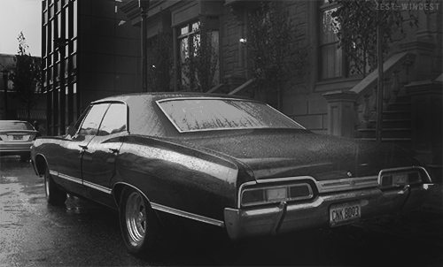 Archillect ID 18740