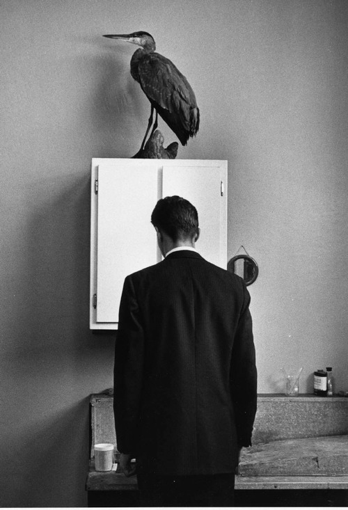 Archillect ID 18781