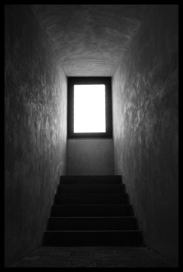 Archillect ID 18791