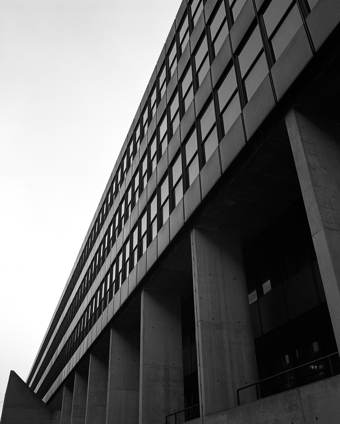 Archillect ID 18837