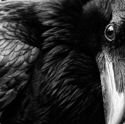 Archillect ID 18922
