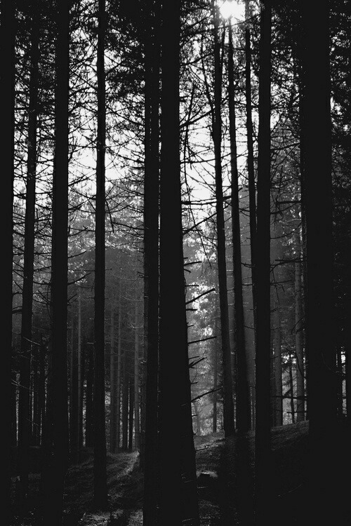Archillect ID 19005