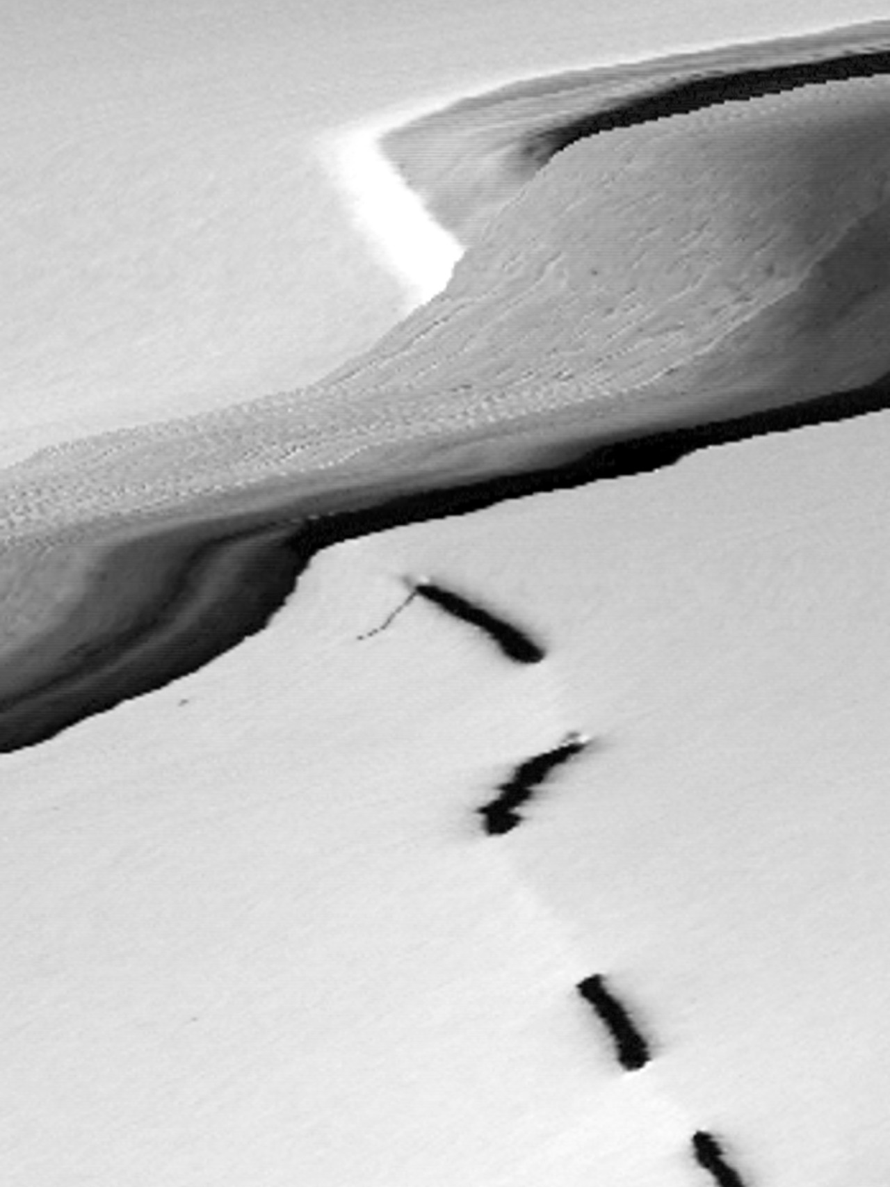 Archillect ID 19015