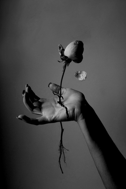 Archillect ID 19017