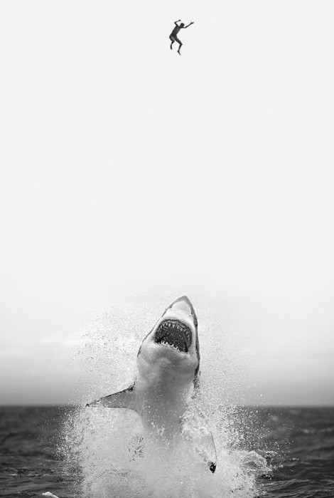 Archillect ID 19025