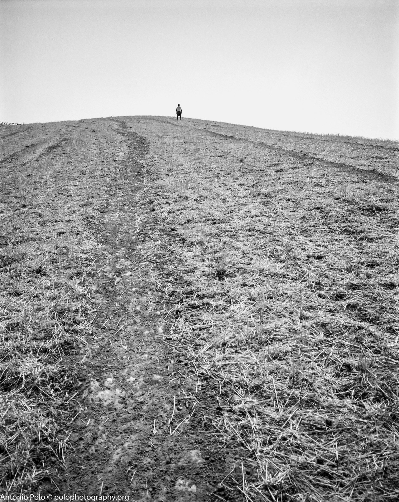 Archillect ID 19207