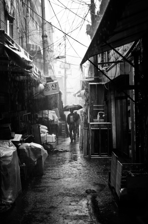 Archillect ID 19217