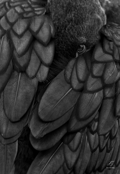 Archillect ID 19339